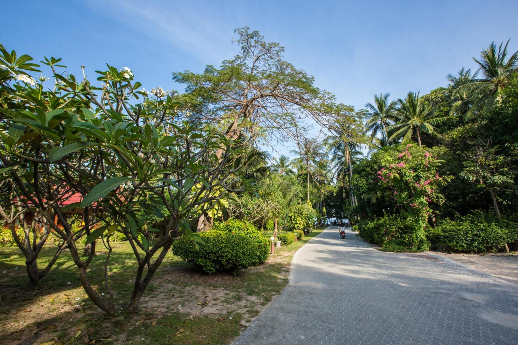 Long Beach Lodge, Chaweng Beach, Koh Samui Экстерьер фото